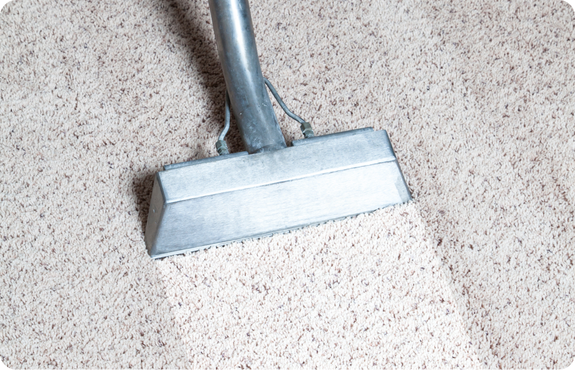 Carpet Cleaning